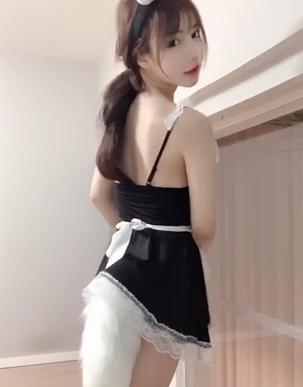 多伦多商务伴游